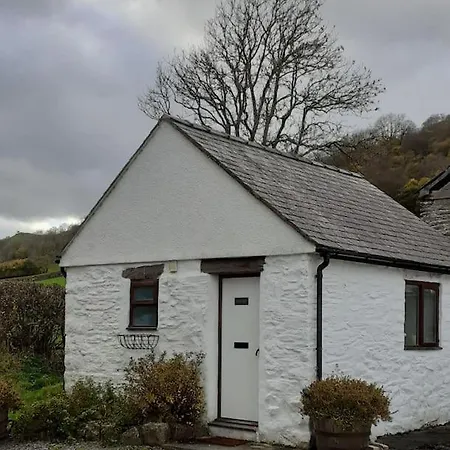 Villa Y Llew Bach, The Tiny House Gwytherin Exterior foto