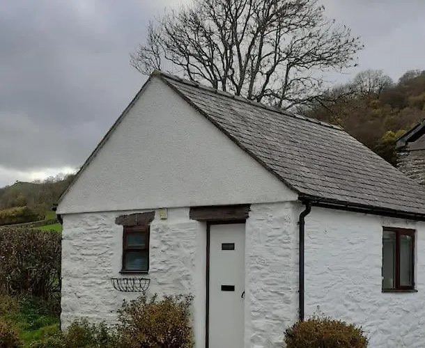 Y Llew Bach, The Tiny House