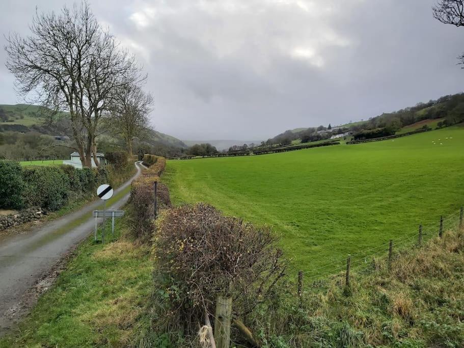 Holiday home Y Llew Bach, The Tiny House