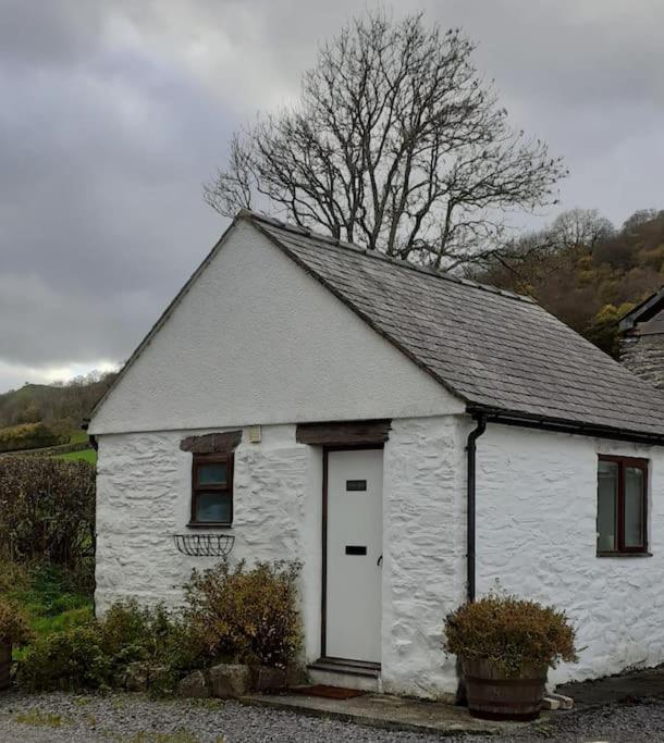 Y Llew Bach, The Tiny House Holiday home Gwytherin